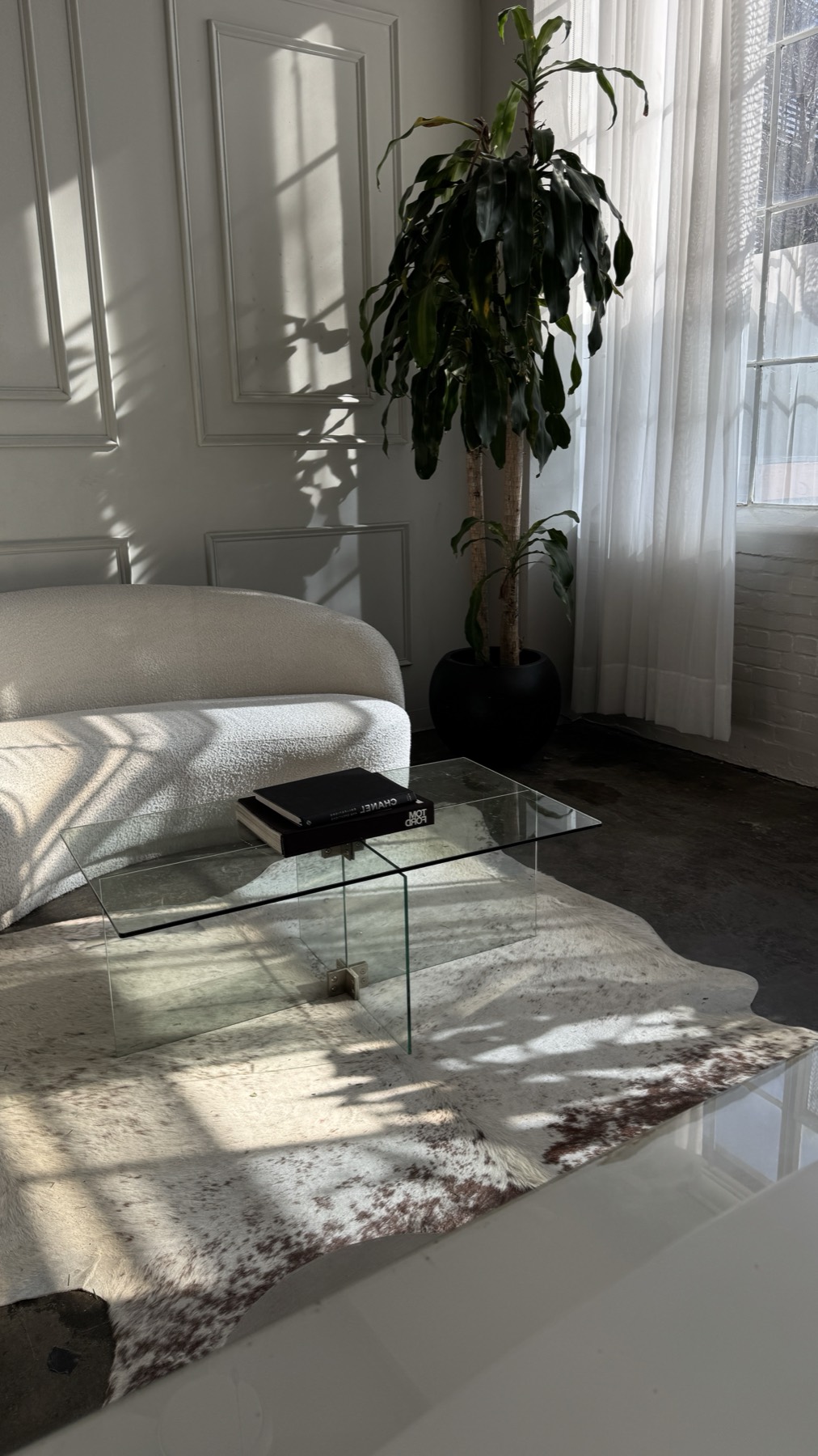 Sunlight falling across a quiet room